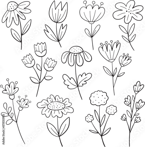 Doodle Set of Lineart Flowers