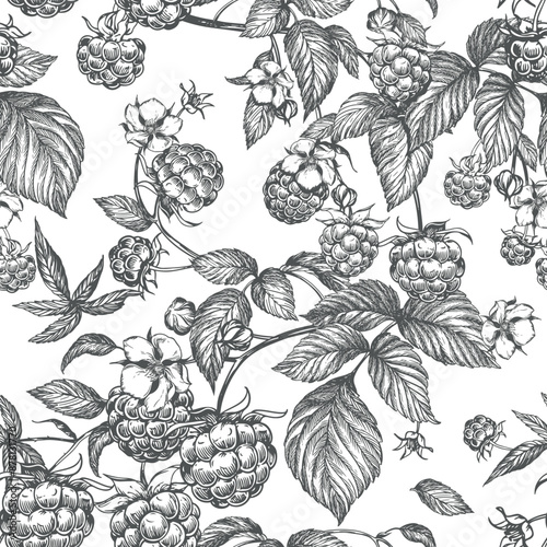 Raspberry seamless pattern. Vector drawing. Isolated sketch of berries and leaves in engraving style on white background. Detailed line sketch, hand drawn. The background for packaging design, labels.