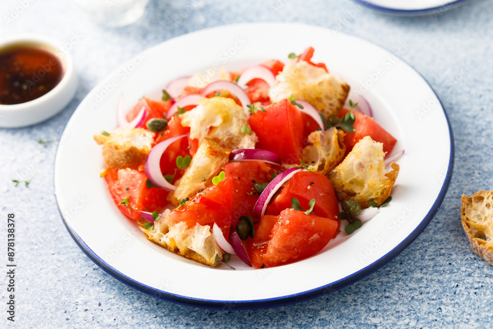 Traditional Italian salad with tomatoes and bread Traditional Italian salad with tomatoes and bread