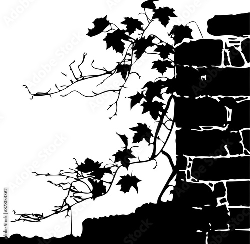 Silhouette of Ivy on Brick Wall