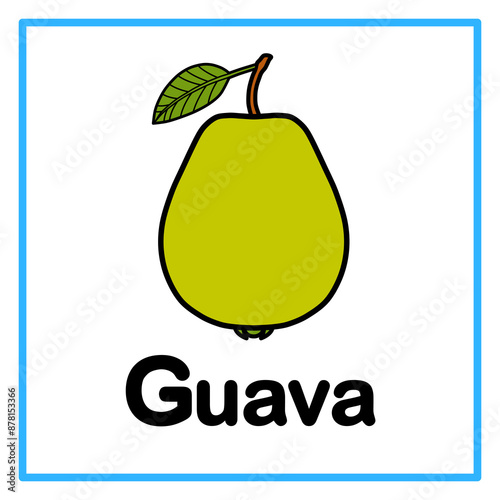 flat guava alphabet illustration