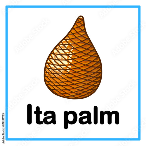 fresh ita palm alphabet illustration