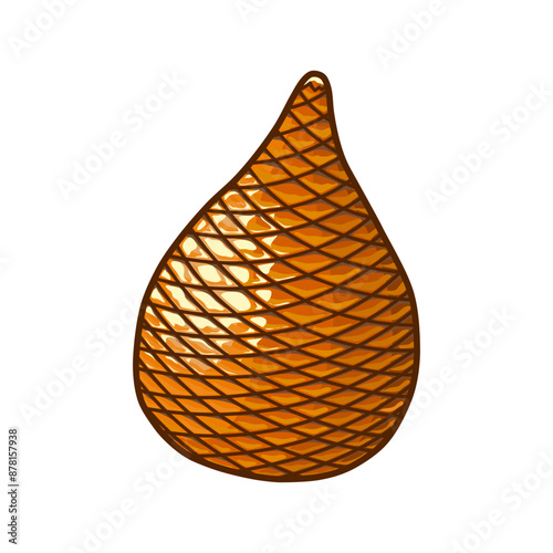 fresh ita palm illustration