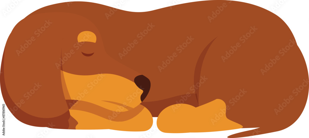 Cute brown dachshund dog sleeping peacefully on the ground