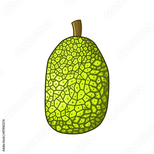 fresh jackfruit illustration