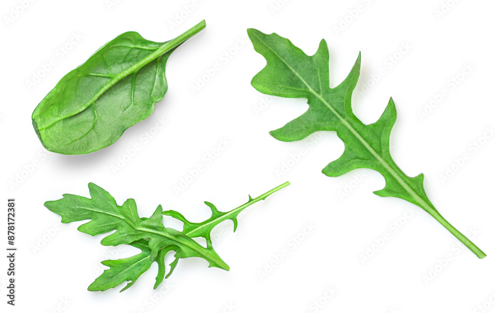 Obraz premium Mediterranean organic herbs and spices element isolated on white background. Fresh spinach and rucola or arugula top view, flat lay.