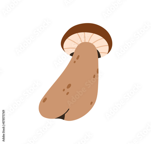 Forest mushroom, boletus icon. Porcini, autumn fall fungus. Edible fungi, cap and stalk. Fresh natural organic raw food. Flat vector graphic illustration isolated on white background