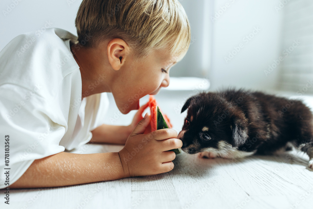 Obraz premium Child with dog at home