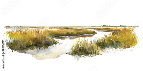 Salt marsh watercolor illustration isolated on transparent.  png file for art work.
  photo