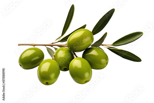 Wallpaper Mural Verdant Elegance: Green Olives Glistening on a Bountiful Branch on White or PNG Transparent Background. Torontodigital.ca