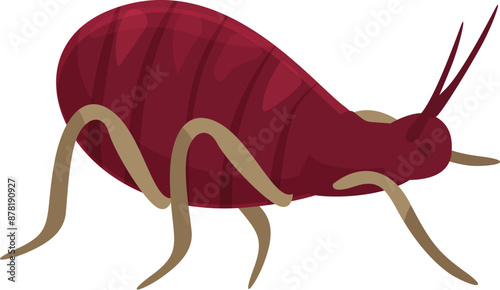 Red mite crawling, this parasite insect can spread diseases