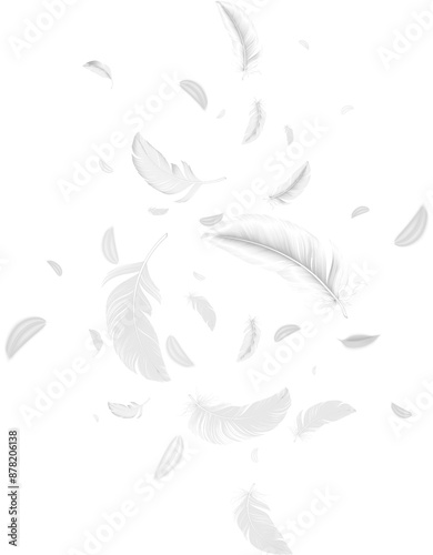 Fototapeta Naklejka Na Ścianę i Meble -  Feathers Flying