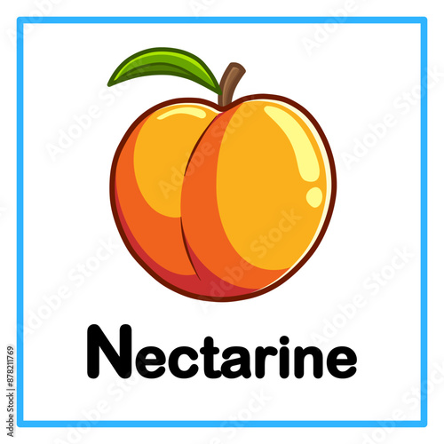 fresh nectarine alphabet illustration