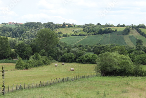 Panoramic view of village pasture and fields with hay, trees and fence