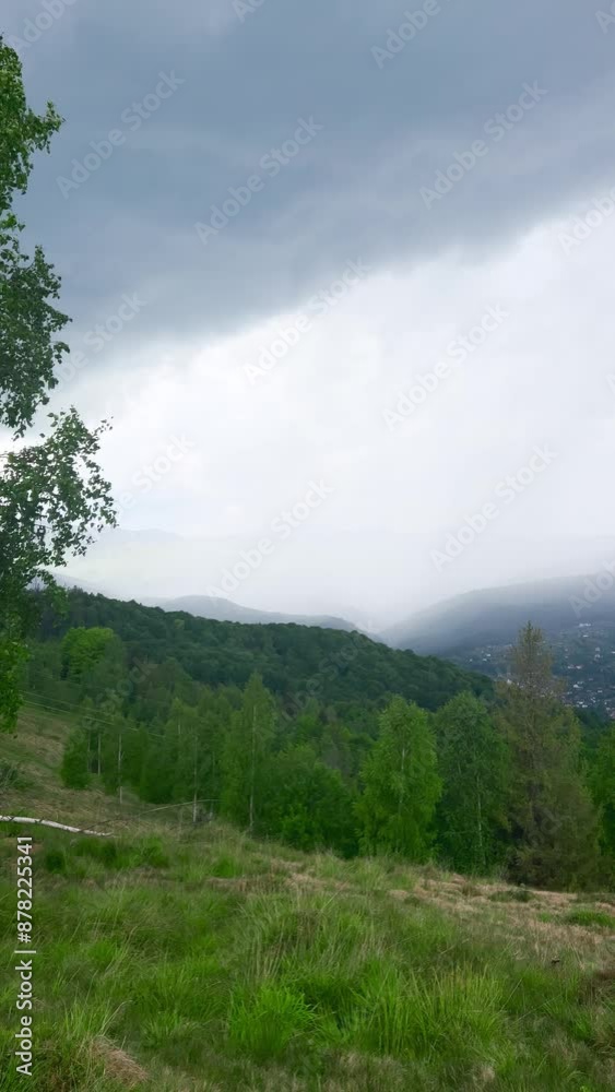 Panoramic view of the mountains, forest, valley in summer. Thunderstorm and rain clouds in the sky. Vertical video. Panoramic view of the mountains, forest, valley in summer. Thunderstorm and rain clouds in the sky. Vertical video.