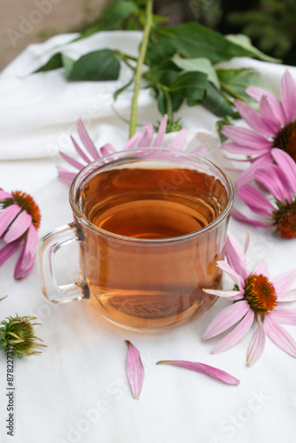 Cup of healthy echinacea tea, fresh coneflower herbs on a light table. Side view. 