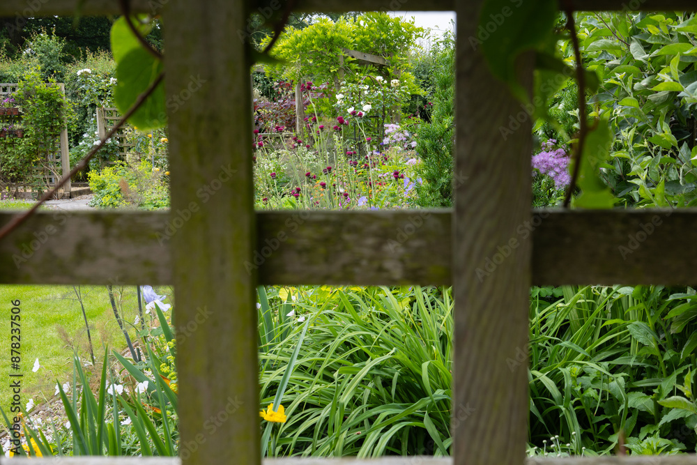 Looking into a summer garden through a wooden trellis Looking into a summer garden through a wooden trellis