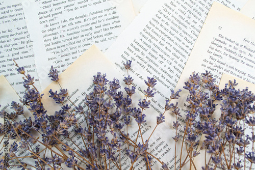 lavender flowers in the region