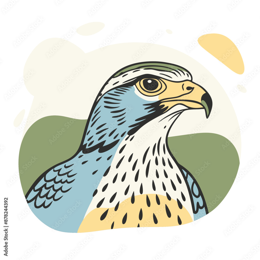 Fototapeta premium Hawk Colorfui vector for uses