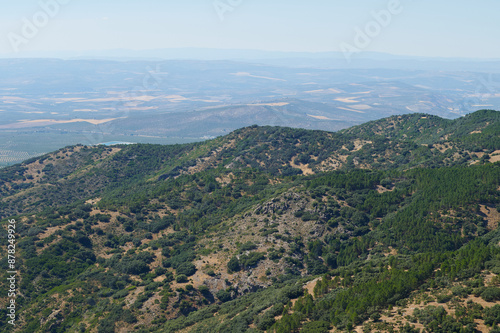 Panoramic view of lush green hills and distant farmland under a clear blue sky