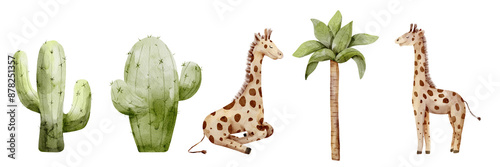 Photography watercolor giraffe, png elements, no background, animals of Africa, safari, cact