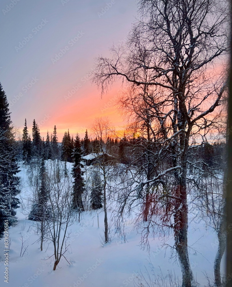 Beautiful winter sun in a forest landscape Norway. Beautiful winter sun in a forest landscape Norway.