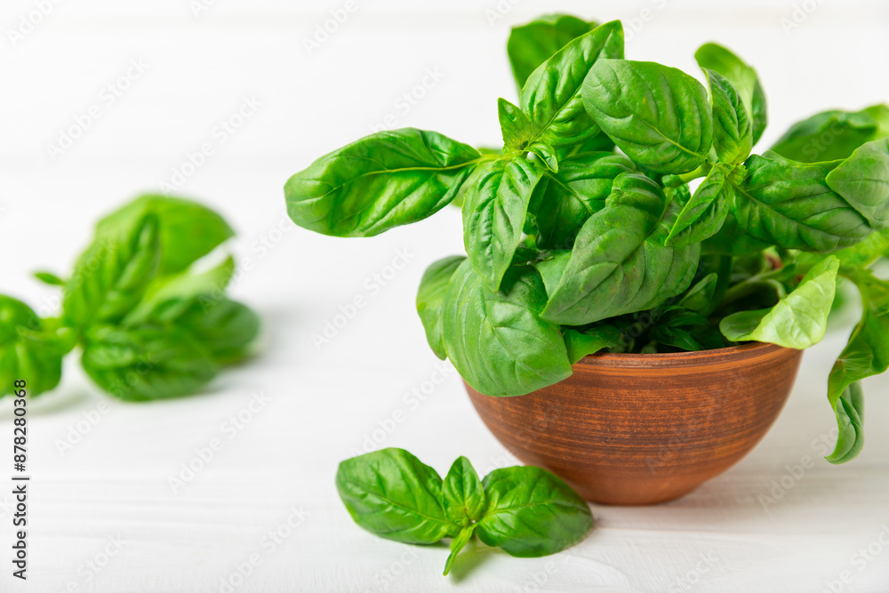 Green basil leaves on a textured wooden background. Kitchen herbs, spices. Fresh green organic basil. Vegan. Greens for salad. Place for text. Copy space. Green basil leaves on a textured wooden background. Kitchen herbs, spices. Fresh green organic basil. Vegan. Greens for salad. Place for text. Copy space.