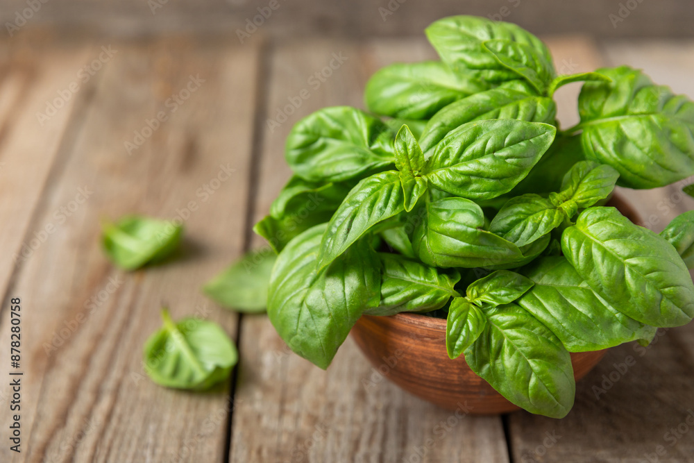 Green basil leaves on a textured wooden background. Kitchen herbs, spices. Fresh green organic basil. Vegan. Greens for salad. Place for text. Copy space. Green basil leaves on a textured wooden background. Kitchen herbs, spices. Fresh green organic basil. Vegan. Greens for salad. Place for text. Copy space.