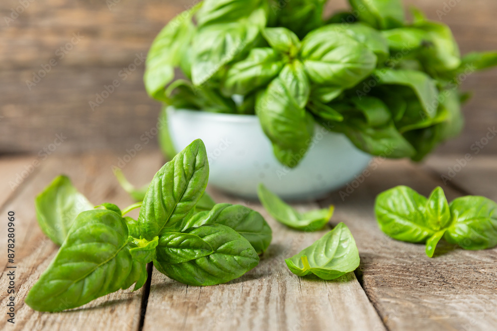 Green basil leaves on a textured wooden background. Kitchen herbs, spices. Fresh green organic basil. Vegan. Greens for salad. Place for text. Copy space. Green basil leaves on a textured wooden background. Kitchen herbs, spices. Fresh green organic basil. Vegan. Greens for salad. Place for text. Copy space.
