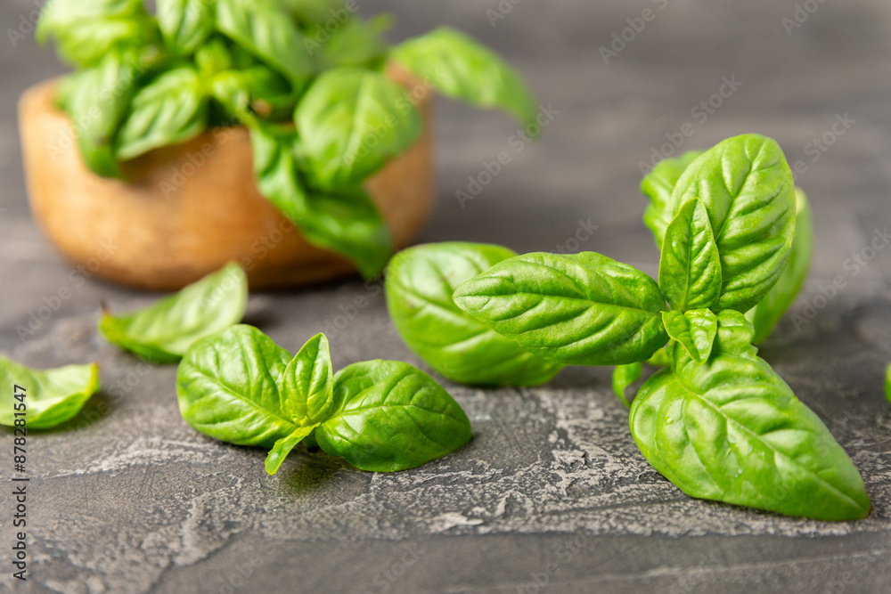 Fototapeta premium Green basil leaves on a textured wooden background. Kitchen herbs, spices. Fresh green organic basil. Vegan. Greens for salad. Place for text. Copy space.