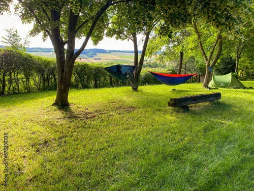 Hammocks in a garden. 