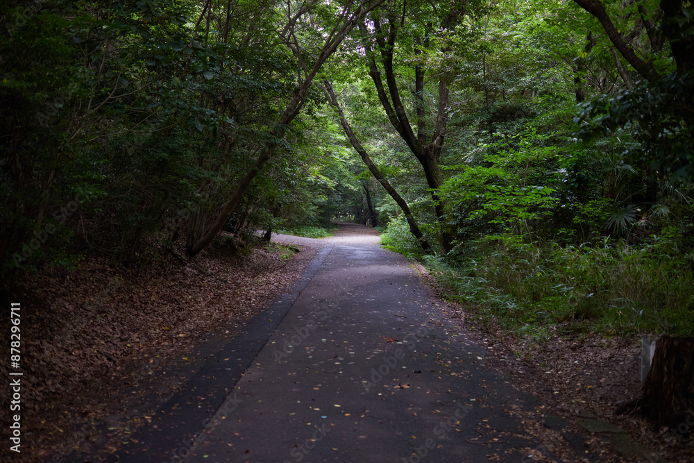 Naklejka premium 公園の風景