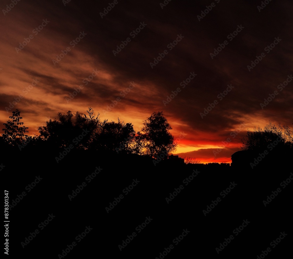 Vibrant Sunset Silhouettes Trees Against Fiery Sky - Perfect for Tranquil Backgrounds and Serene Scenery. Morning, sunrise. Vibrant Sunset Silhouettes Trees Against Fiery Sky - Perfect for Tranquil Backgrounds and Serene Scenery. Morning, sunrise.
