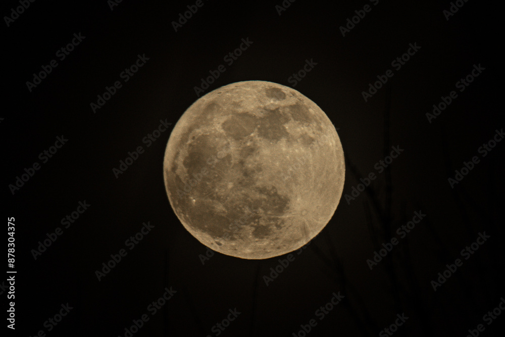 Obraz premium full moon over sky