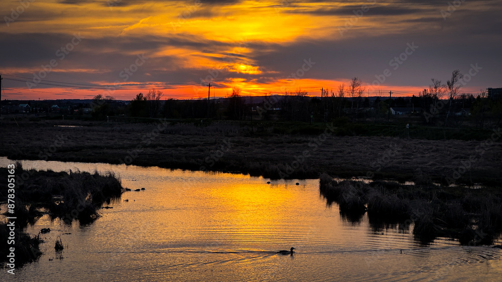 Obraz premium sunset and duck and river
