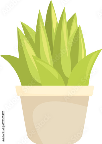 Fotografie Simple vector illustration of an aloe vera plant growing in a pot, isolated on a