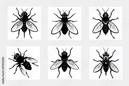 set of insects vector