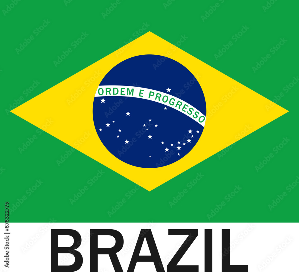 Obraz premium Brazilian Flag