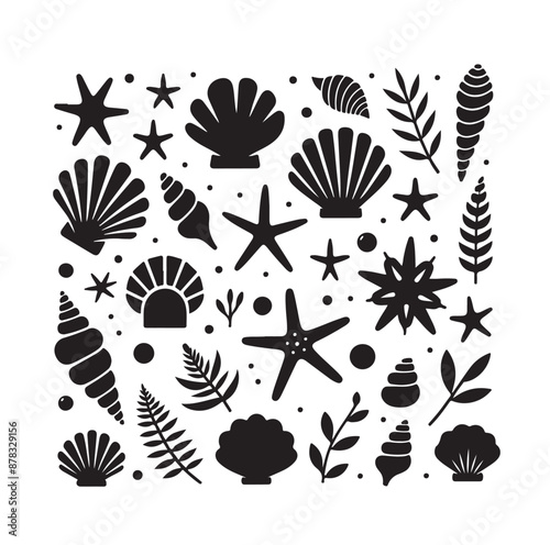 Set of different black sea shells and starfish vector illustration