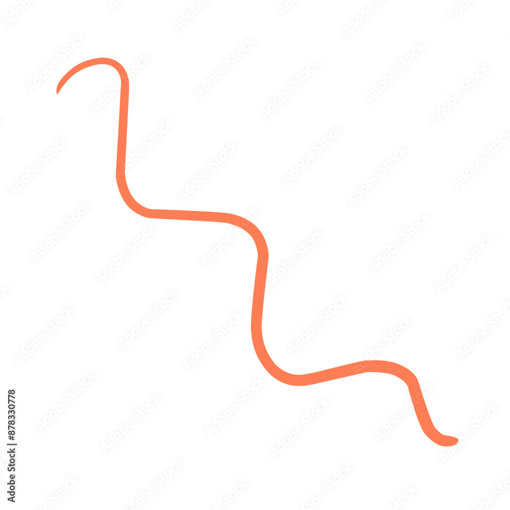 Calligraphic swirl flourish collection Calligraphic swirl flourish collection