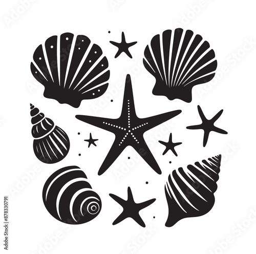 Set of different black sea shells and starfish vector illustration