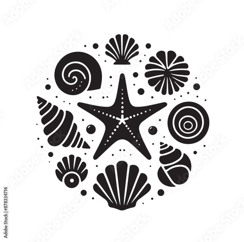 Set of different black sea shells and starfish vector illustration