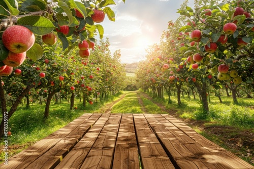 A wooden podium in a picturesque apple orchard, with trees full of ripe apples and a clear, sunny sky above.