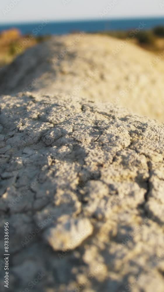 Dry Earth Due to Aridity Drought Little Rain Climate Change