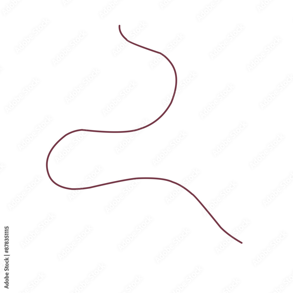 Hand drawn collection of curly swishes, swashes and wavy lines. Vector calligraphy flourishes for text Hand drawn collection of curly swishes, swashes and wavy lines. Vector calligraphy flourishes for text
