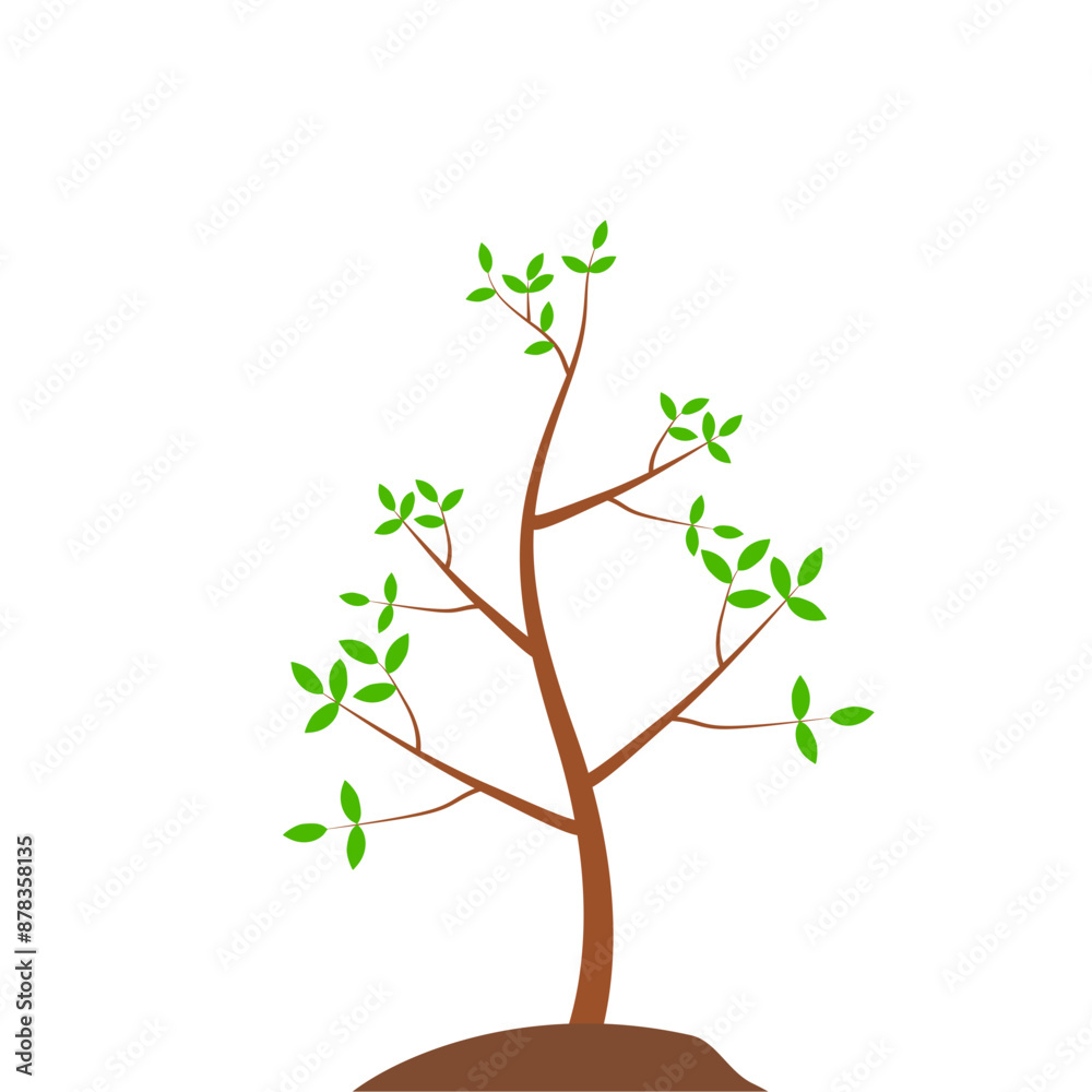 Obraz premium Growth Plant Tree Illustrations