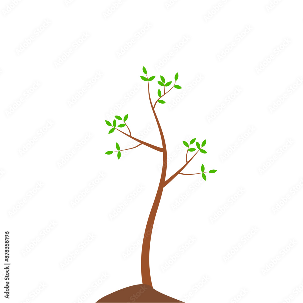 Obraz premium Growth Plant Tree Illustrations