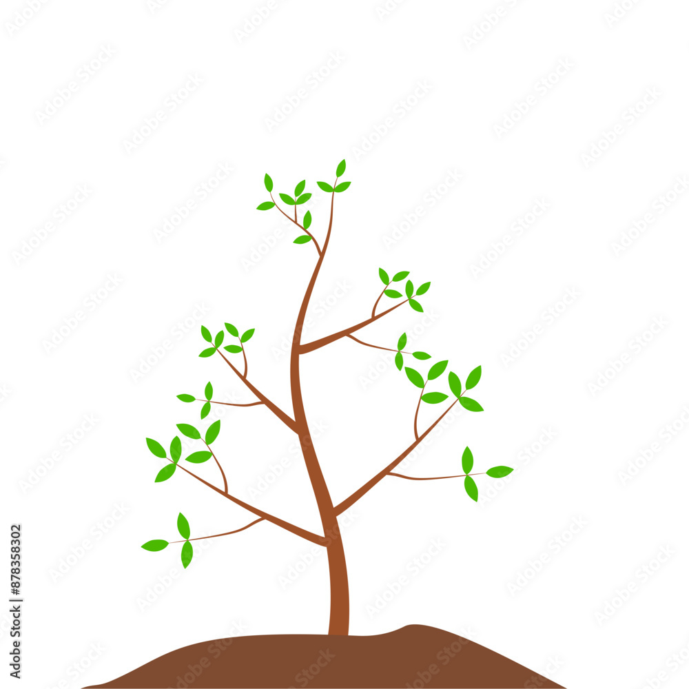 Obraz premium Growth Plant Tree Illustrations