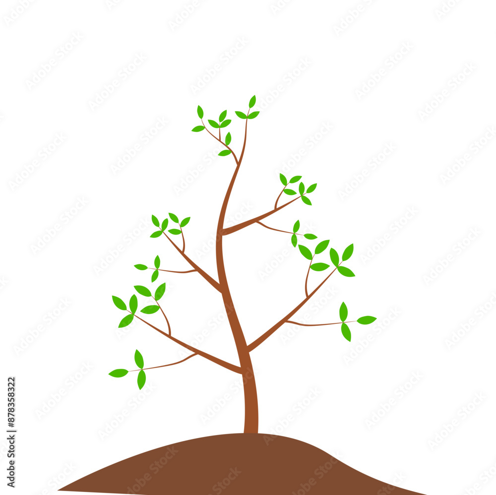 Growth Plant Tree Illustrations Growth Plant Tree Illustrations