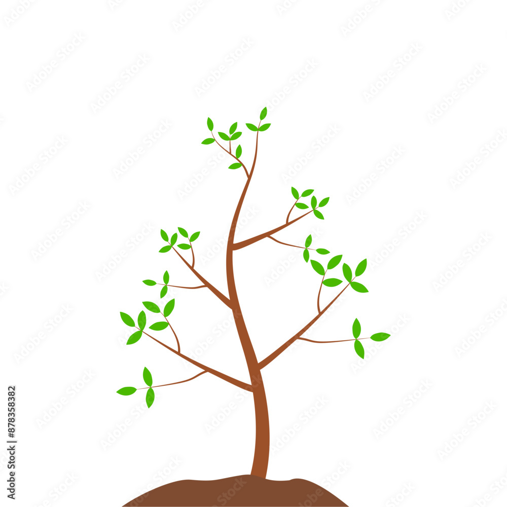 Obraz premium Growth Plant Tree Illustrations